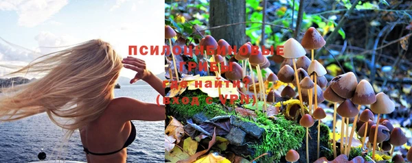 молекула духа Абинск