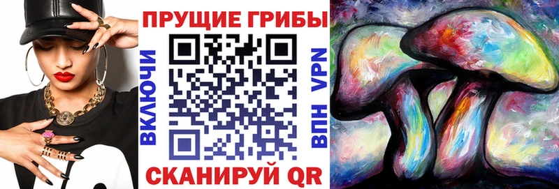Псилоцибиновые грибы Cubensis Алагир